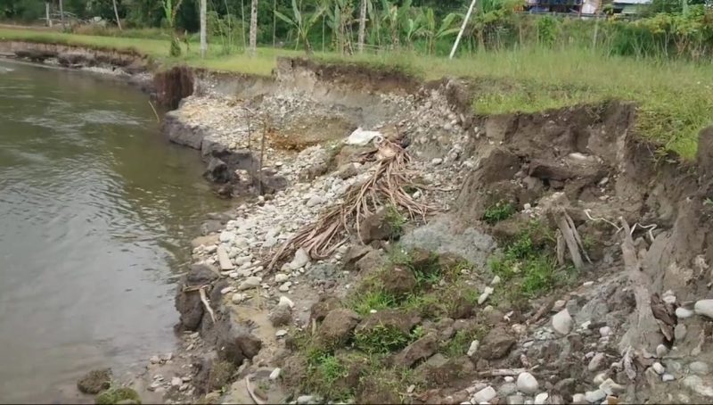Foto: Kondisi sungai di Nagari Aia Manggih Utara, Kecamatan Lubuk Sikaping, Kabupaten Pasaman yang makin terkikis ancam jalur lintas Sumatera.