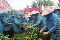 Dasawisma Bougenville 14, Nagari Ranah Air Haji, Kecamatan Sungai Aur, mewakili Kabupaten Pasaman Barat dalam Lomba Dasawisma Berprestasi tingkat Provinsi Sumatera Barat.