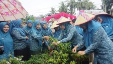 Dasawisma Bougenville 14, Nagari Ranah Air Haji, Kecamatan Sungai Aur, mewakili Kabupaten Pasaman Barat dalam Lomba Dasawisma Berprestasi tingkat Provinsi Sumatera Barat.