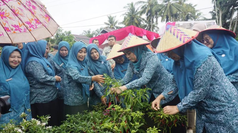 Dasawisma Bougenville 14, Nagari Ranah Air Haji, Kecamatan Sungai Aur, mewakili Kabupaten Pasaman Barat dalam Lomba Dasawisma Berprestasi tingkat Provinsi Sumatera Barat.