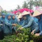 Dasawisma Bougenville 14, Nagari Ranah Air Haji, Kecamatan Sungai Aur, mewakili Kabupaten Pasaman Barat dalam Lomba Dasawisma Berprestasi tingkat Provinsi Sumatera Barat.