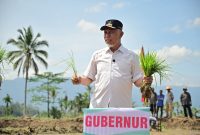 Gubernur Sumbar, Mahyeldi Ansharullah ikut turun langsung menanam padi dalam kegiatan tanam serempak 50.000 hektare di Sumbar yang dipusatkan di Nagari Koto Kaciak, Kecamatan Tanjung Raya, Kabupaten Agam, Kamis (30/4/2026).