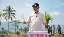 Gubernur Sumbar, Mahyeldi Ansharullah ikut turun langsung menanam padi dalam kegiatan tanam serempak 50.000 hektare di Sumbar yang dipusatkan di Nagari Koto Kaciak, Kecamatan Tanjung Raya, Kabupaten Agam, Kamis (30/4/2026).