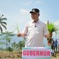 Gubernur Sumbar, Mahyeldi Ansharullah ikut turun langsung menanam padi dalam kegiatan tanam serempak 50.000 hektare di Sumbar yang dipusatkan di Nagari Koto Kaciak, Kecamatan Tanjung Raya, Kabupaten Agam, Kamis (30/4/2026).