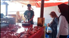 Harga ayam potong di Pasar Tradisional Padang Tujuh, Nagari Aua Kuniang, Kecamatan Pasaman melonjak drastis.