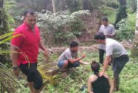 Satuan Reserse Narkoba Polres Pasaman Barat, Sumatera Barat (Sumbar), meringkus seorang lelaki yang diduga melakukan tindak pidana peredaran narkotika jenis sabu-sabu dan ganja kering. 
