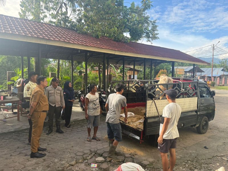 Sehari jelang lebaran Idul Adha dua ekor sapi dari Alumni Fakultas Kedokteran Unand dan BPBD Padang telah sampai di depan huntara lubuk buaya kecamatan koto tangah kota padang selasa petang ( 26/5/2026).