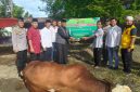 Polsek Koto Tangah, Kota Padang, melaksanakan penyembelihan hewan kurban sebanyak 9 ekor sapi dan 7 ekor kambing di lingkungan Mapolsek Koto Tangah, Kamis, (28/5/2026).