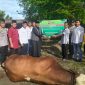 Polsek Koto Tangah, Kota Padang, melaksanakan penyembelihan hewan kurban sebanyak 9 ekor sapi dan 7 ekor kambing di lingkungan Mapolsek Koto Tangah, Kamis, (28/5/2026).