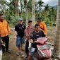 Tim SAR gabungan berhasil menemukan seorang lansia yang sebelumnya dilaporkan tersesat di kawasan kebun Batang Paku, Simpang Utara, Kecamatan Simpang Alahan Mati, Kabupaten Pasaman, Sumatera Barat, Sabtu (9/5/2026).