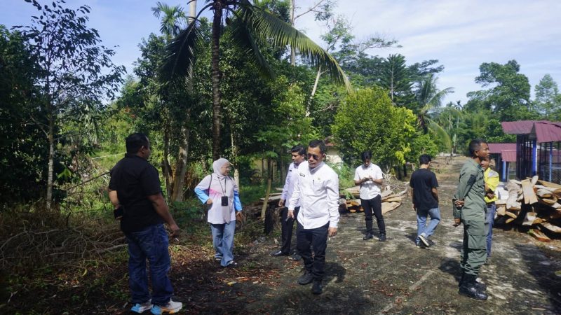 Pemerintah Kabupaten Pasaman Barat melalui Dinas Lingkungan Hidup (DLH) menegaskan bahwa penebangan sejumlah pohon sengon di kawasan Hutan Kota Pasaman Barat dilakukan dalam rangka revitalisasi dan penataan kawasan, bukan untuk kepentingan ekonomi sebagaimana isu yang beredar di media sosial.