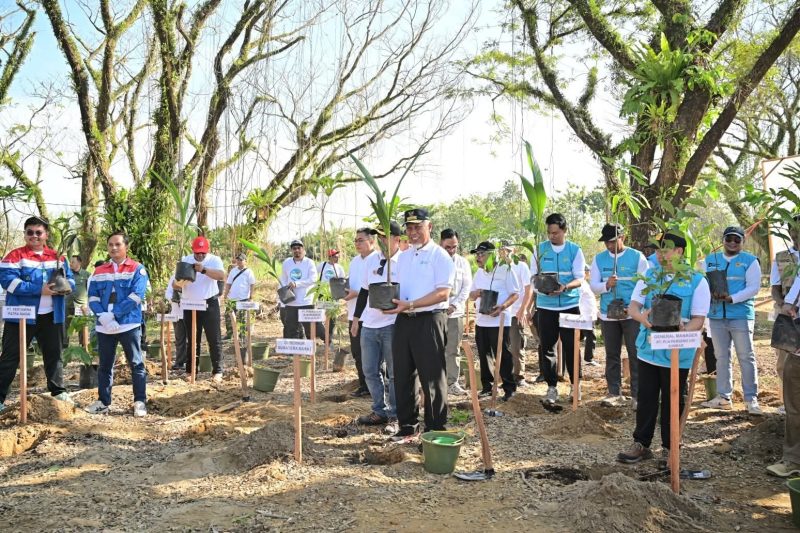 Gubernur Sumbar Pimpin penanaman 1.000 pohon di kawasan Hutan Kota Malvinas, sempadan Sungai Batang Kuranji, Kota Padang, Jumat (12/6/2026).
