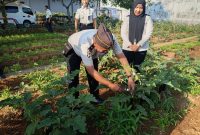Lembaga Pemasyarakatan Kelas IIB Lubuk Basung terus meningkatkan pengamanan sekaligus pembinaan terhadap warga binaan meski saat ini menghadapi kondisi hunian yang melebihi kapasitas. Jumlah penghuni lapas tercatat mencapai 384 orang, sementara kapasitas ideal hanya 315 orang.