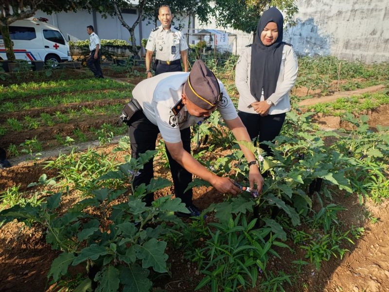 Lembaga Pemasyarakatan Kelas IIB Lubuk Basung terus meningkatkan pengamanan sekaligus pembinaan terhadap warga binaan meski saat ini menghadapi kondisi hunian yang melebihi kapasitas. Jumlah penghuni lapas tercatat mencapai 384 orang, sementara kapasitas ideal hanya 315 orang.