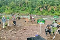 Kepolisian Resor (Polres) Pasaman Barat melakukan penanaman pohon di aliran sungai bekas tambang galian C, yang berada di Nagari Lingkuang Aua, Kecamatan Pasaman, Kabupaten Pasaman Barat, Sumatera Barat (Sumbar), Rabu (24/6/2026).