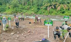 Gerakan Penghijauan, Polres Pasaman Barat Tanam Berbagai Jenis Pohon di Kawasan Sungai Batang Toman