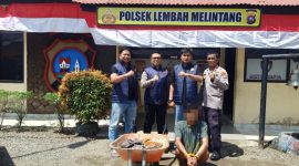 Tim Unit Reaksi Cepat (URC) Polsek Lembah Melintang berhasil mengamankan seorang pelaku tindak pidana pencurian dengan pemberatan (Curat) berinisial AU (27), yang sebelumnya masuk dalam daftar pencarian setelah melarikan diri usai melakukan pencurian tandan buah kelapa sawit milik PT. Bakrie Pasaman Plantation (PT. BPP).
