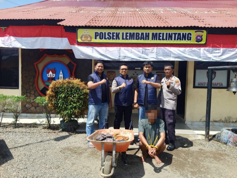 Tim Unit Reaksi Cepat (URC) Polsek Lembah Melintang berhasil mengamankan seorang pelaku tindak pidana pencurian dengan pemberatan (Curat) berinisial AU (27), yang sebelumnya masuk dalam daftar pencarian setelah melarikan diri usai melakukan pencurian tandan buah kelapa sawit milik PT. Bakrie Pasaman Plantation (PT. BPP).